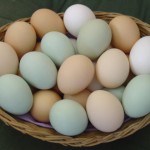 All your eggs in one basket