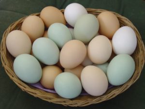 All your eggs in one basket