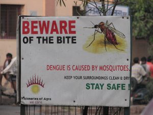 I Survived Dengue Fever