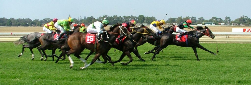 Horse Racing Betting Systems